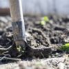 家庭菜園｜2月に植えたいおススメ野菜４選、2月の土づくり作業