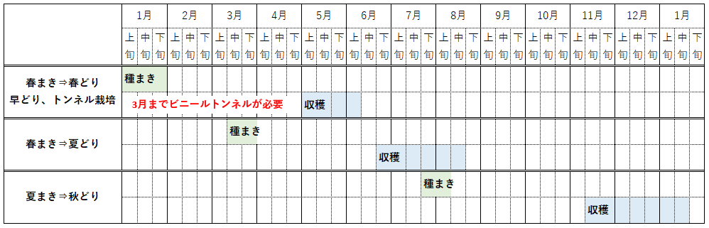 無農薬栽培 人参の育て方 家庭菜園のススメ