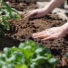 【家庭菜園】土壌線虫とは？｜無農薬で線虫対策する方法